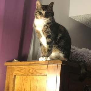 Meet your Posher, Wanda